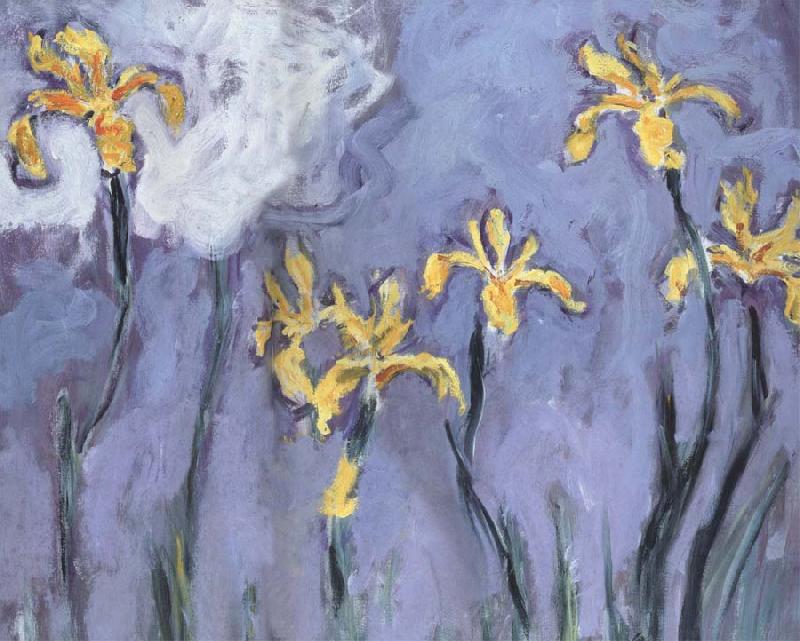 Claude Monet Yellow Irises with Pink Cloud oil painting image
